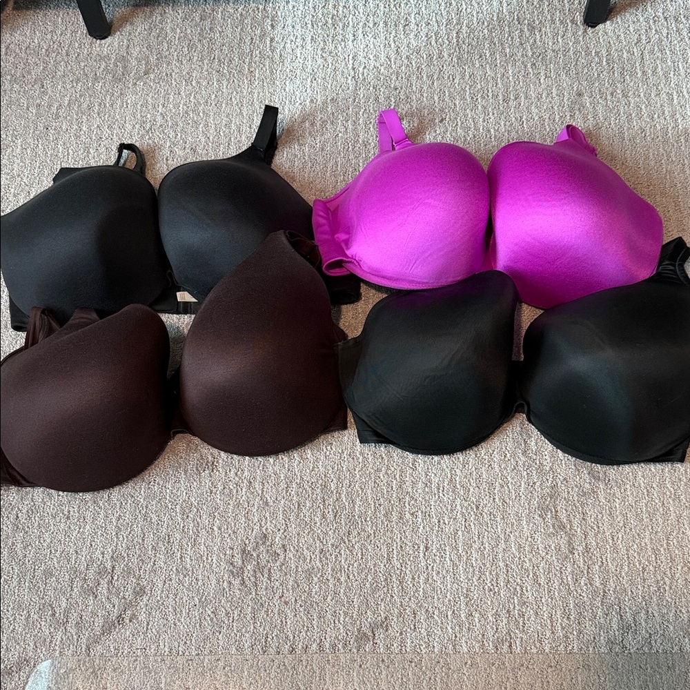 Cacique Black, Brown, and Pink Bra Set of 4